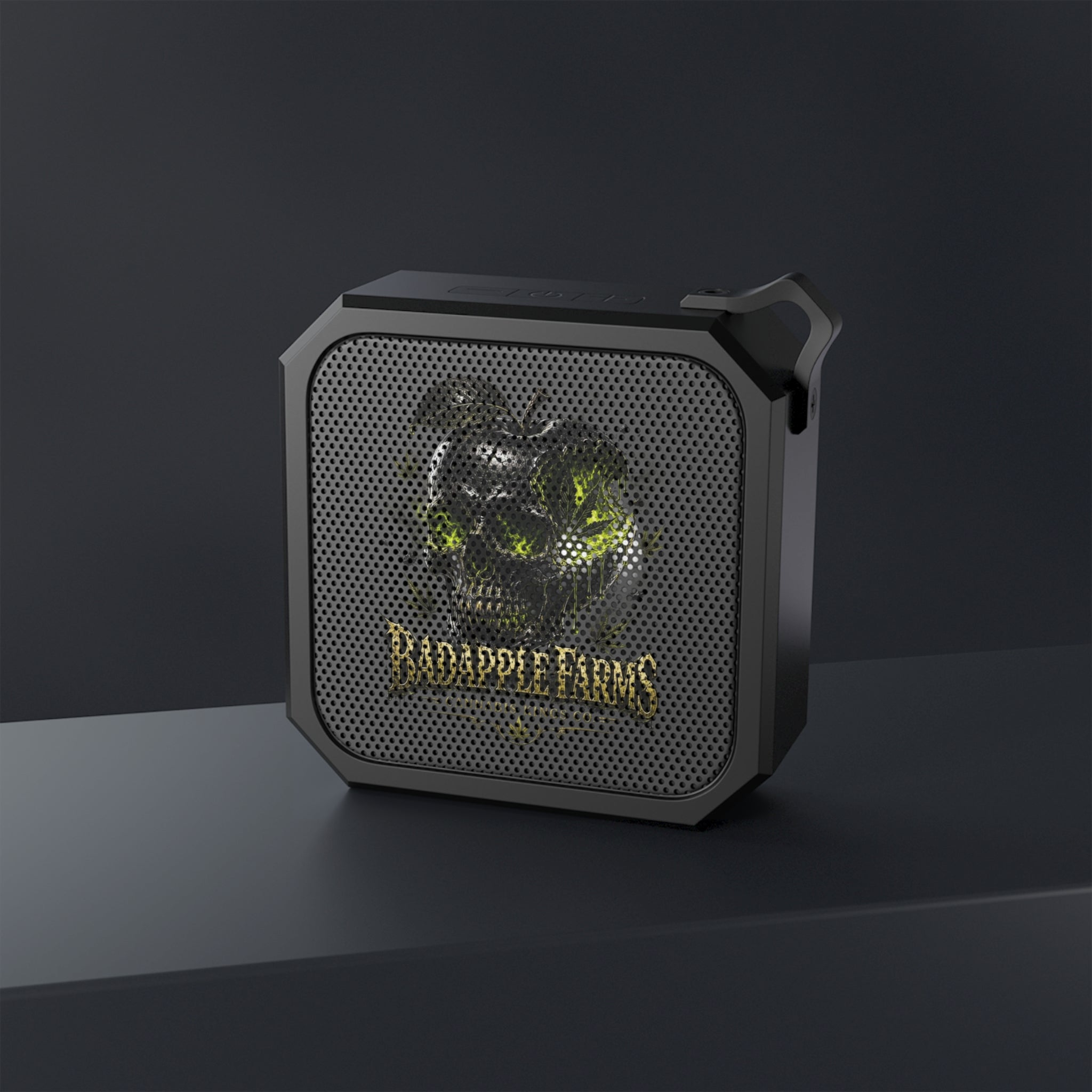 Blackwater Outdoor Speaker